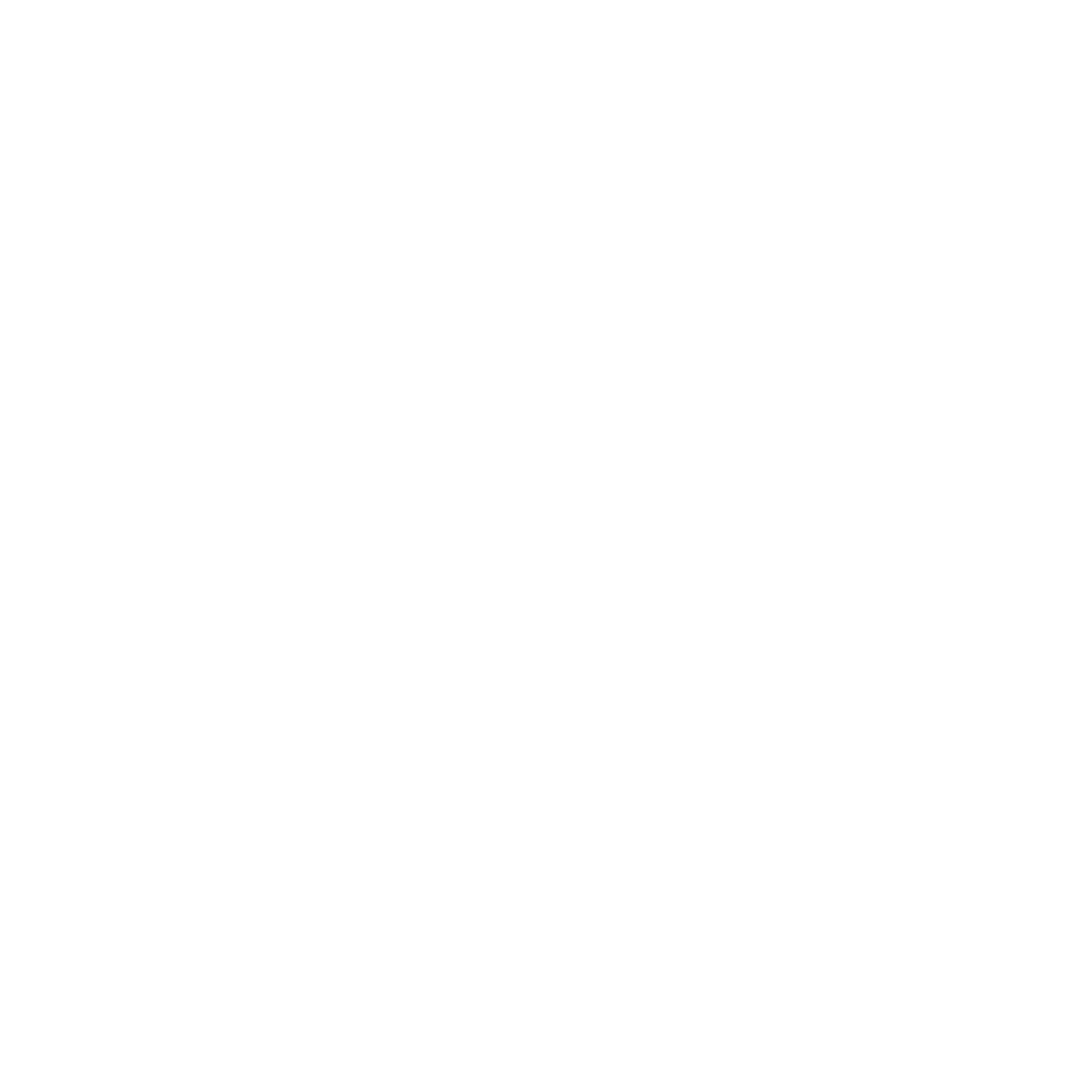 SOLID VIBE FASHION logo